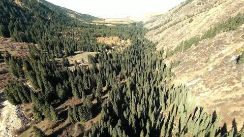 Panoramic drone view of nature landscape with mountains and forest 写真素材