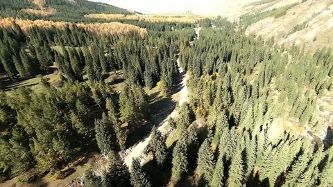 Panoramic drone view of nature landscape with mountains and forest 스톡 사진