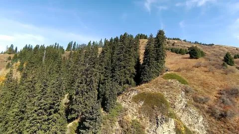 Panoramic drone view of nature landscape with mountains and forest Foto stock