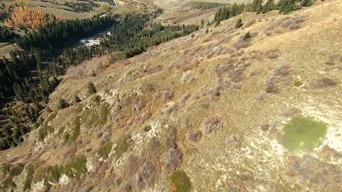 Panoramic drone view of nature landscape with mountains and forest Fotos Stock