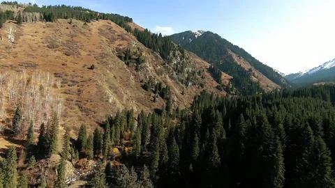 Panoramic drone view of nature landscape with mountains and forest 스톡 사진