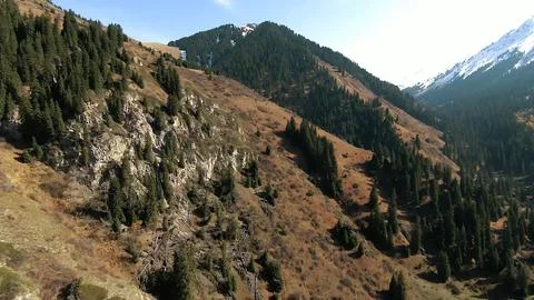 Panoramic drone view of nature landscape with mountains and forest Photos