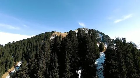 Panoramic drone view of nature landscape with mountains and forest Foto stock