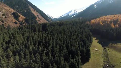 Panoramic drone view of nature landscape with mountains and forest Stock Photos