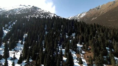 Panoramic drone view of nature landscape with mountains and forest 写真素材