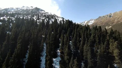 Panoramic drone view of nature landscape with mountains and forest 스톡 사진