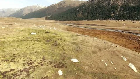 Panoramic drone view of nature landscape with mountains and forest Foto stock