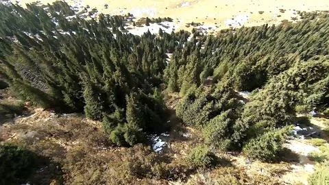 Panoramic drone view of nature landscape with mountains and forest Stockfoto's