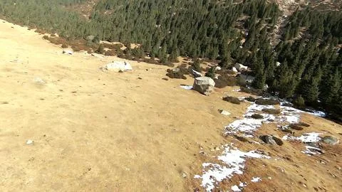 Panoramic drone view of nature landscape with mountains and forest Foto stock