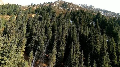 Panoramic drone view of nature landscape with mountains and forest Stockfoto's
