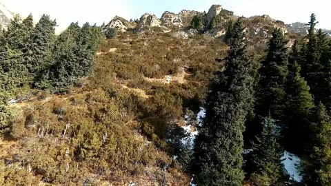 Panoramic drone view of nature landscape with mountains and forest 写真素材