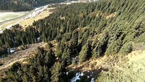 Panoramic drone view of nature landscape with mountains and forest Fotos de archivo