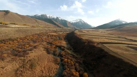 Panoramic drone view of nature landscape with mountains and forest Фото