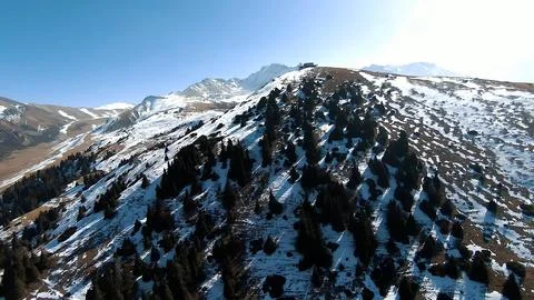 Panoramic drone view of nature landscape with mountains and forest 스톡 사진
