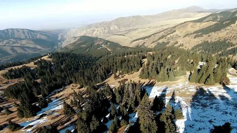 Panoramic drone view of nature landscape with mountains and forest 스톡 사진