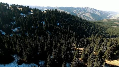 Panoramic drone view of nature landscape with mountains and forest 스톡 사진