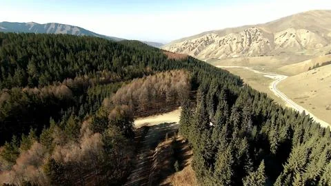 Panoramic drone view of nature landscape with mountains and forest 스톡 사진