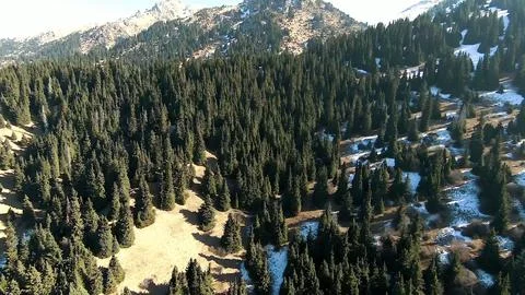 Panoramic drone view of nature landscape with mountains and forest Stockfoto's