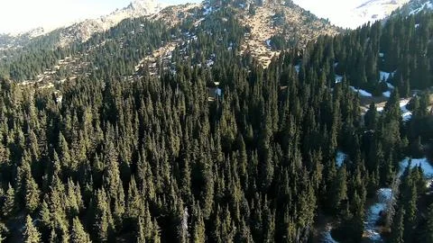 Panoramic drone view of nature landscape with mountains and forest Stockfoto's