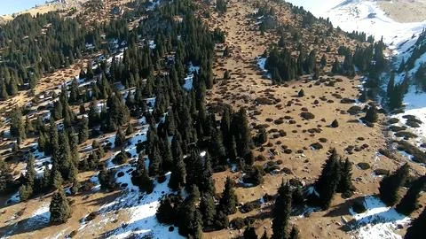 Panoramic drone view of nature landscape with mountains and forest Fotos de archivo