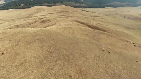 Panoramic drone view of nature landscape with mountains and forest Фото