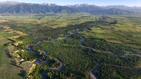 Panoramic drone view of nature landscape with mountains and forest Fotos de archivo