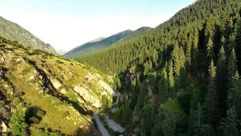 Panoramic drone view of nature landscape with mountains and forest Photos