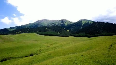 Panoramic drone view of nature landscape with mountains and forest Stock Photos