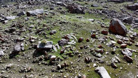 Panoramic drone view of nature landscape with mountains and forest Foto stock