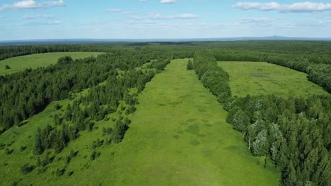 Panoramic Drone View over Patchwork Fields and Light Clouds Video stock 312880754