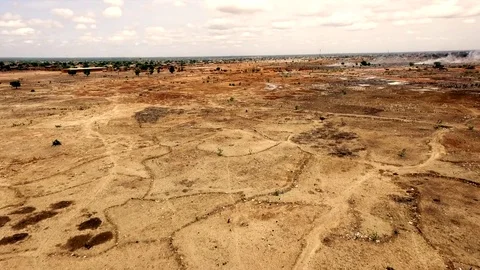 Panoramic from a dry land to a tree Stock Footage 80531191