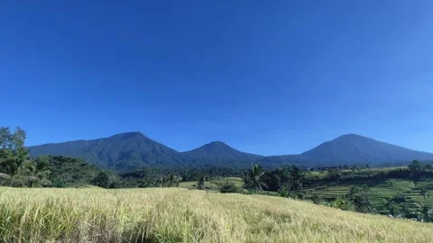 Panoramic Elevated View of Mountain Range and Rice Terraces in Bali Stock Footage 336696413