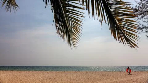 Panoramic empty beach under palm leaves. Lifebuoy. Concept: empty resort, bad Stock-Fotos