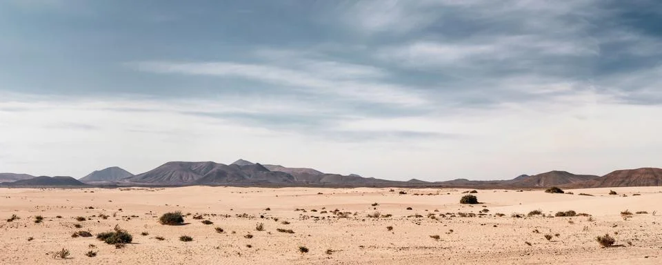Panoramic empty desert Stock Photos