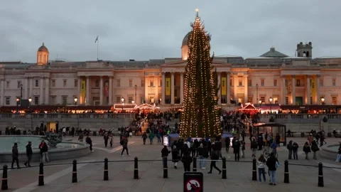 Panoramic evening view of the Christmas Tree and Market at Trafalgar Square Stock Footage 319026718