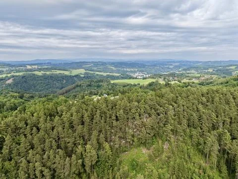 Panoramic evergreen forest and rolling hills beneath layered gray clouds wi.. 库存照片