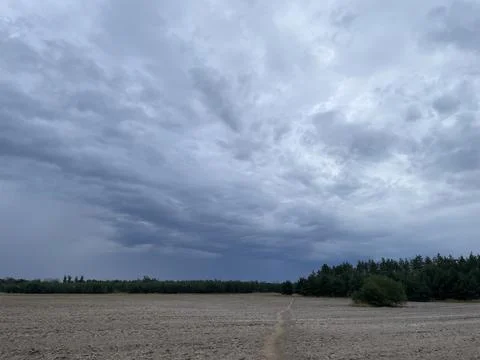 Panoramic field and forest in cloudy weather Stock Photos