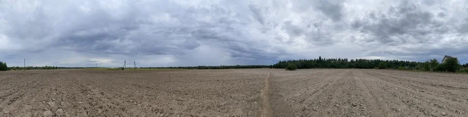 Panoramic field and forest in cloudy weather Stock Photos