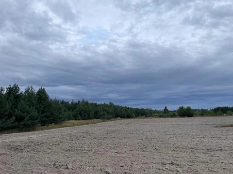 Panoramic field and forest in cloudy weather Stock Photos