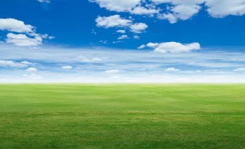 Panoramic field landscape Stock Photos