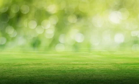 Panoramic field landscape Stock Photos