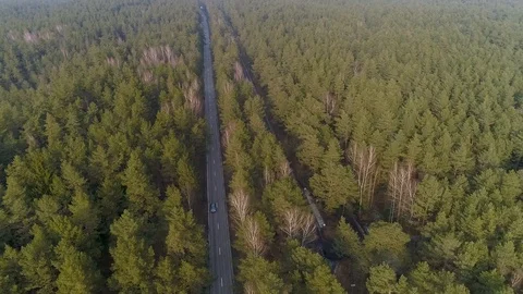 Panoramic Flight over the road between forests. Trees in the middle two roads Stock Footage 87944219