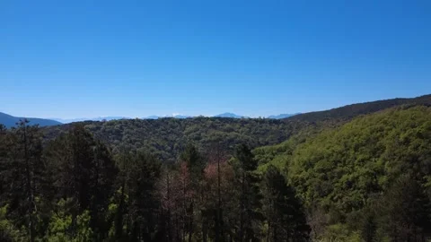 Panoramic forest canopy covering a mountain slope under blue spring skies Stock Footage 337046005