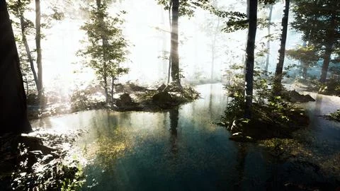Panoramic of the forest with river reflecting the trees in the water Illustrazione stock