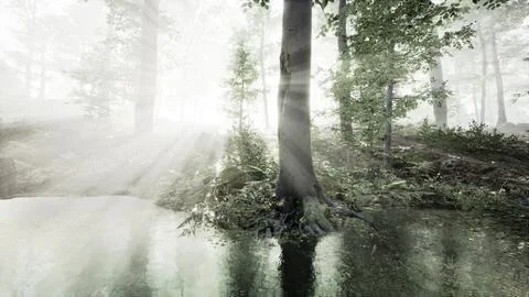 Panoramic of the forest with river reflecting the trees in the water Illustrazione stock