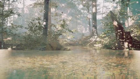 Panoramic of the forest with river reflecting the trees in the water Illustrazione stock