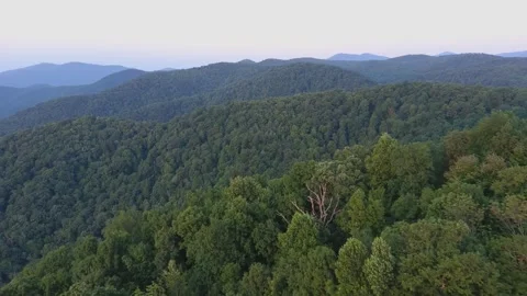 Panoramic Forested Hills Under Clear Sky Stock Footage 328964653