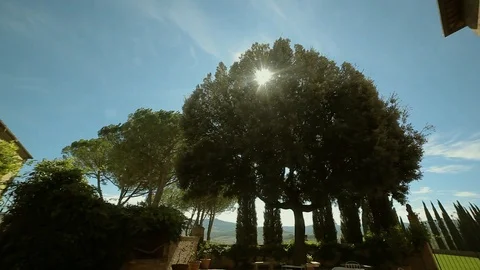 Panoramic garden view. The sun through the crown of the tree. Stock Footage 97930578