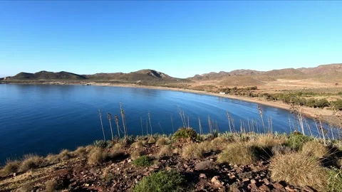 Panoramic of Genoveses Beach Stock Footage 271023565