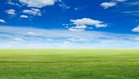 Panoramic green landscape Stock Photos